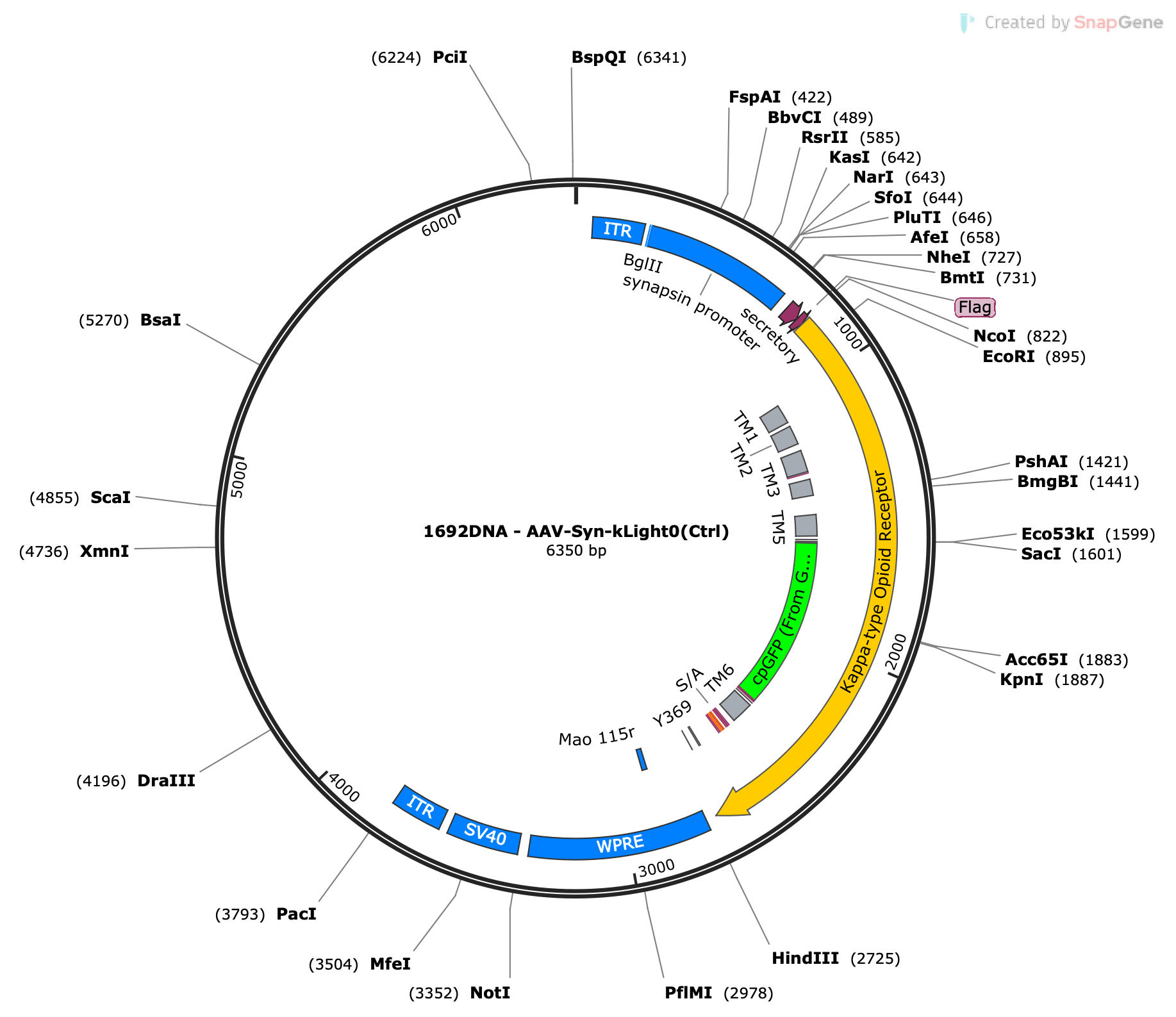 AAV-Syn-kLight0 (Ctrl)