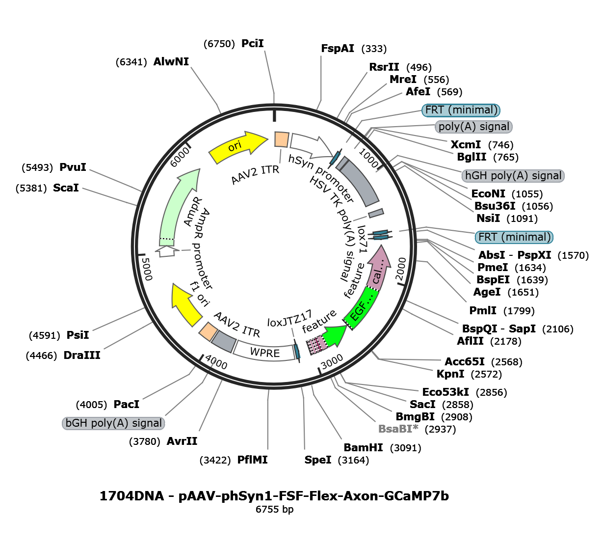 AAV-hSyn1-FSF-flex-Axon-GCaMP7b