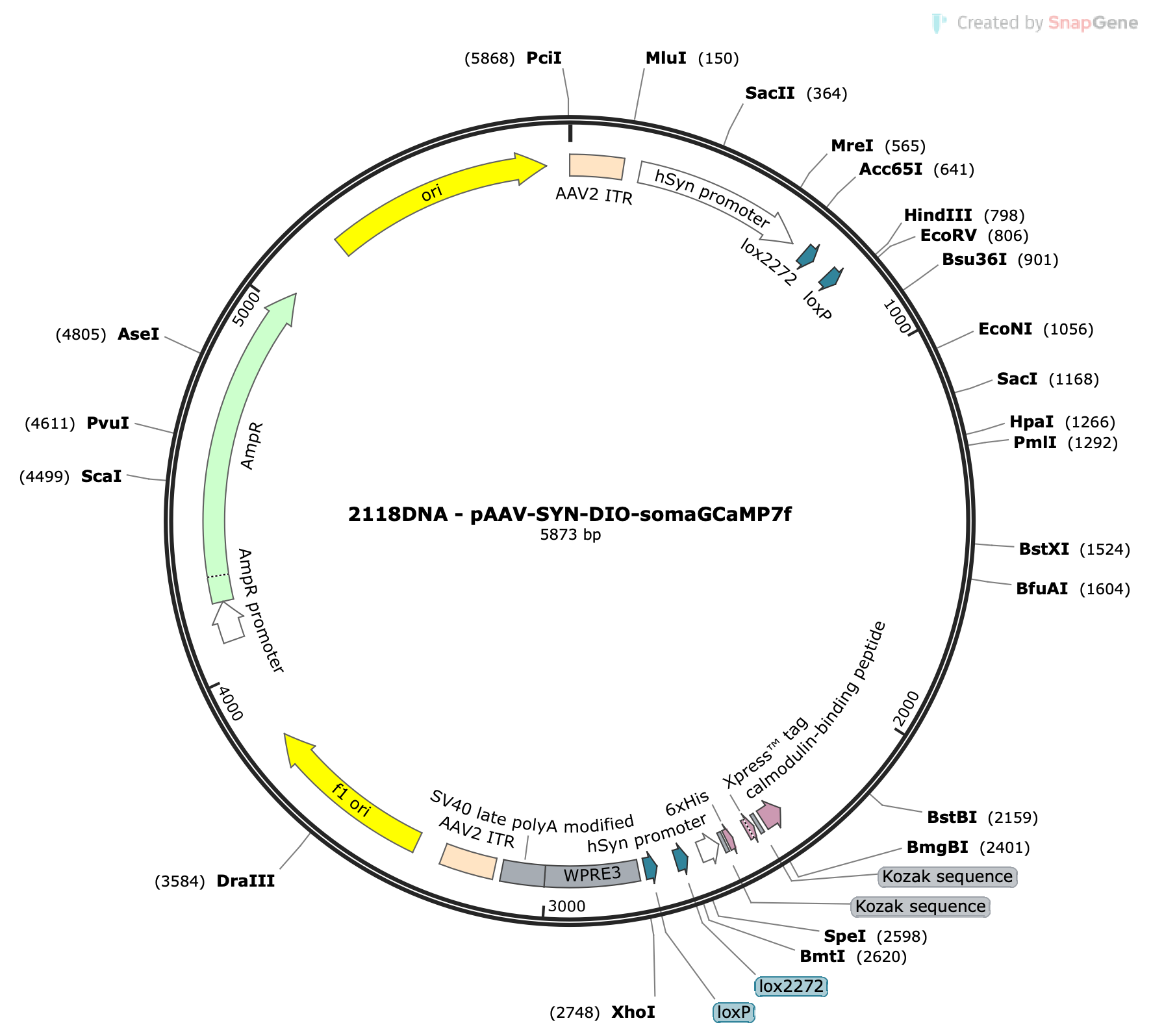 AAV-Syn-Flex-somaGCaMP7f
