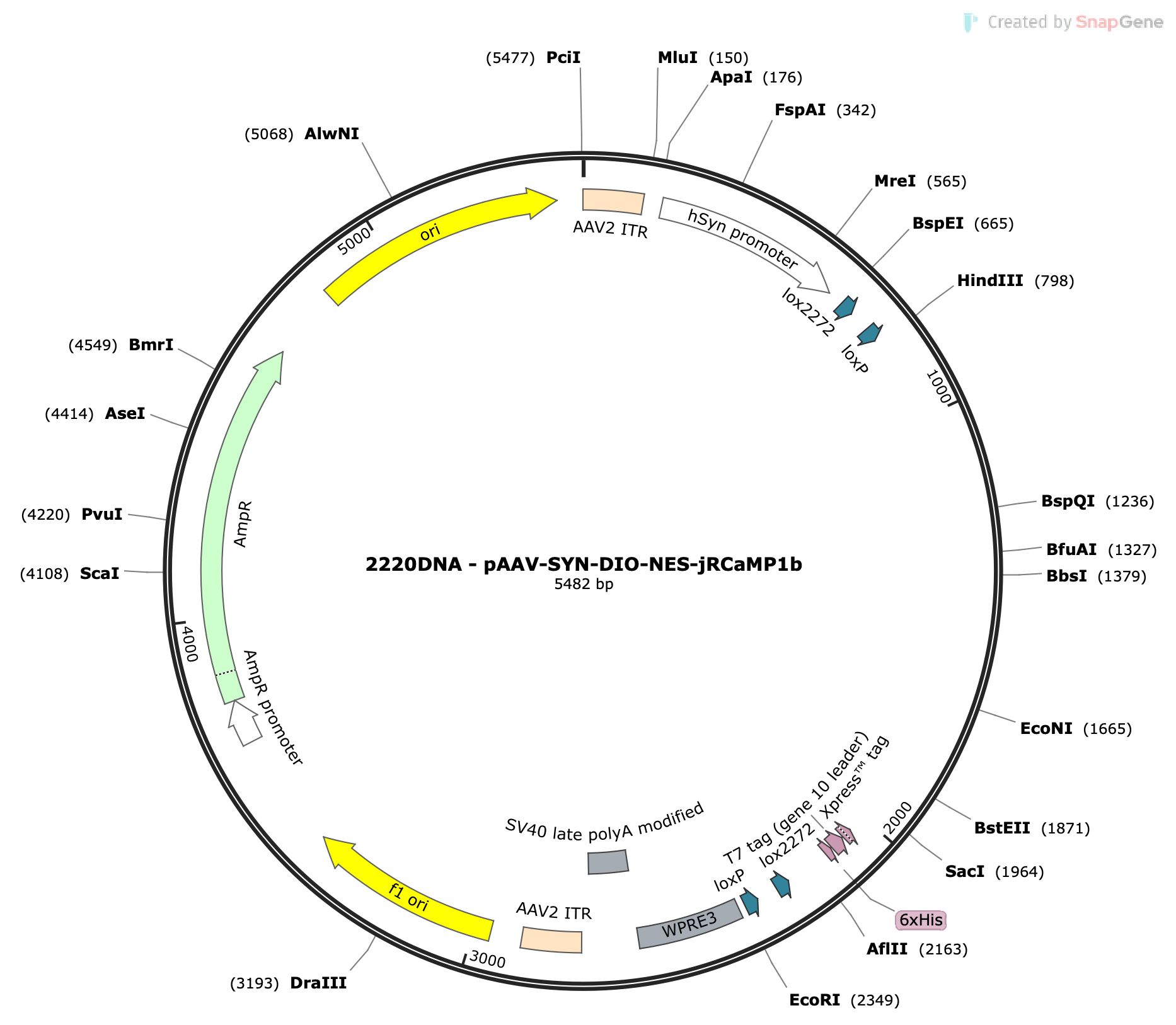 AAV-Syn-DIO-NES-jRCaMP1b