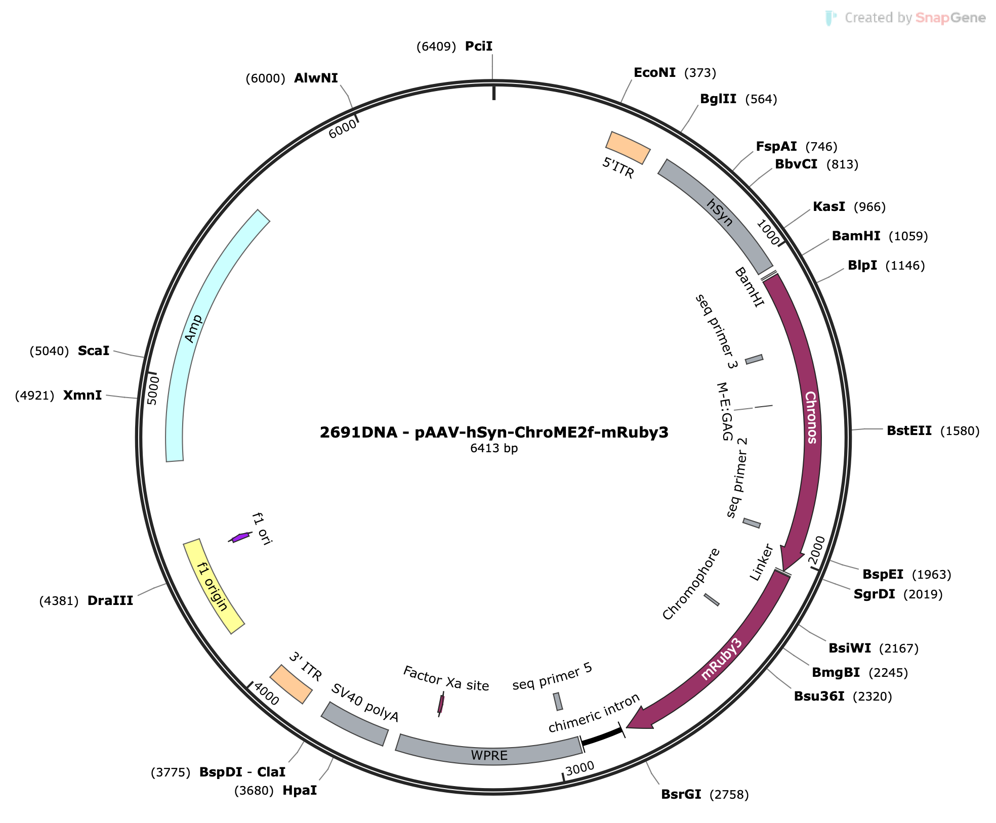 AAV-hSyn-ChroME2f-mRuby3