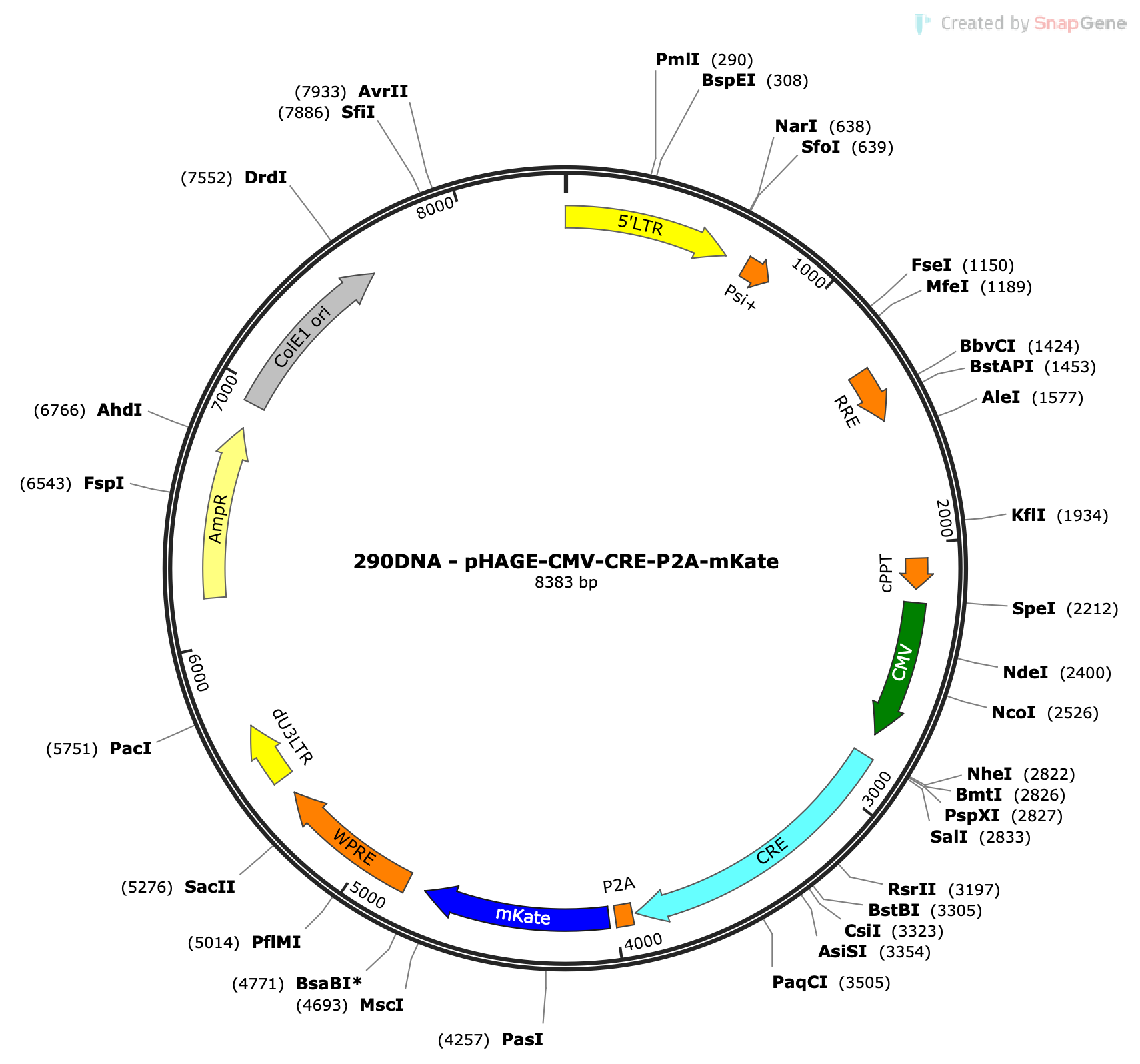 Lenti-CMV-CRE-P2A-mKate