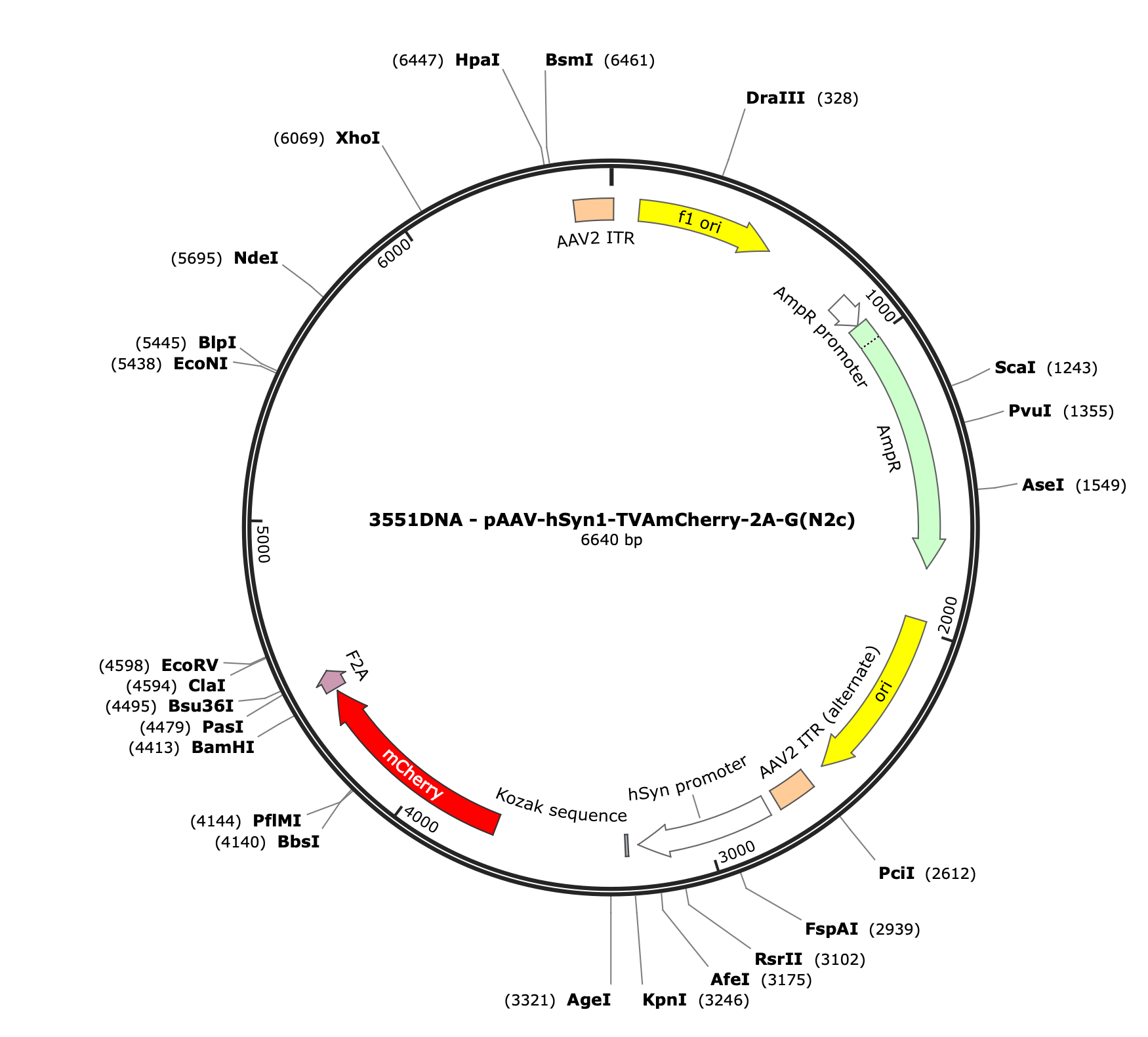 AAV-hSyn1-TVAmCherry-2A-G(N2c)