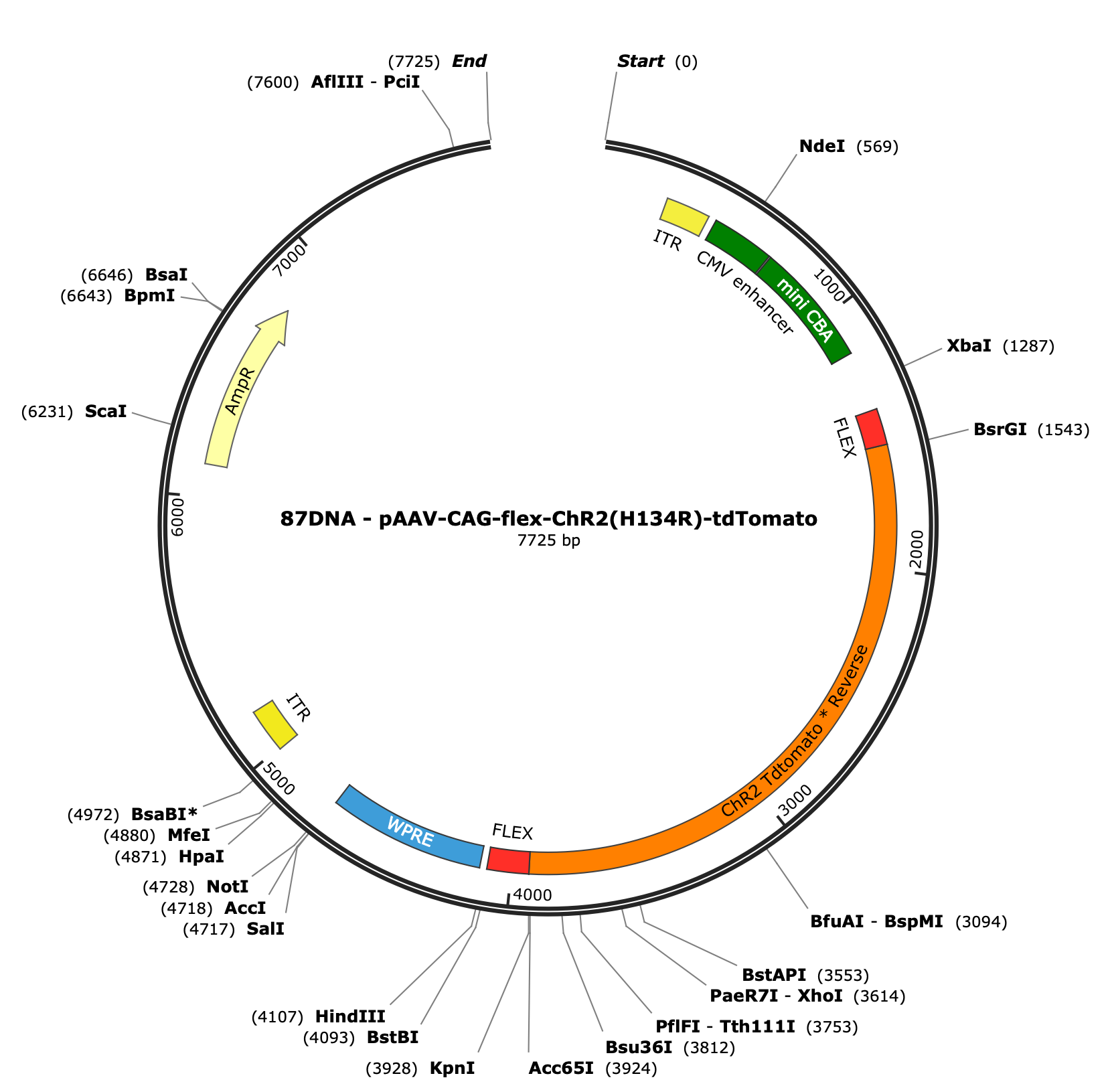 AAV-CAG-Flex-ChR2(H134R)-tdTomato