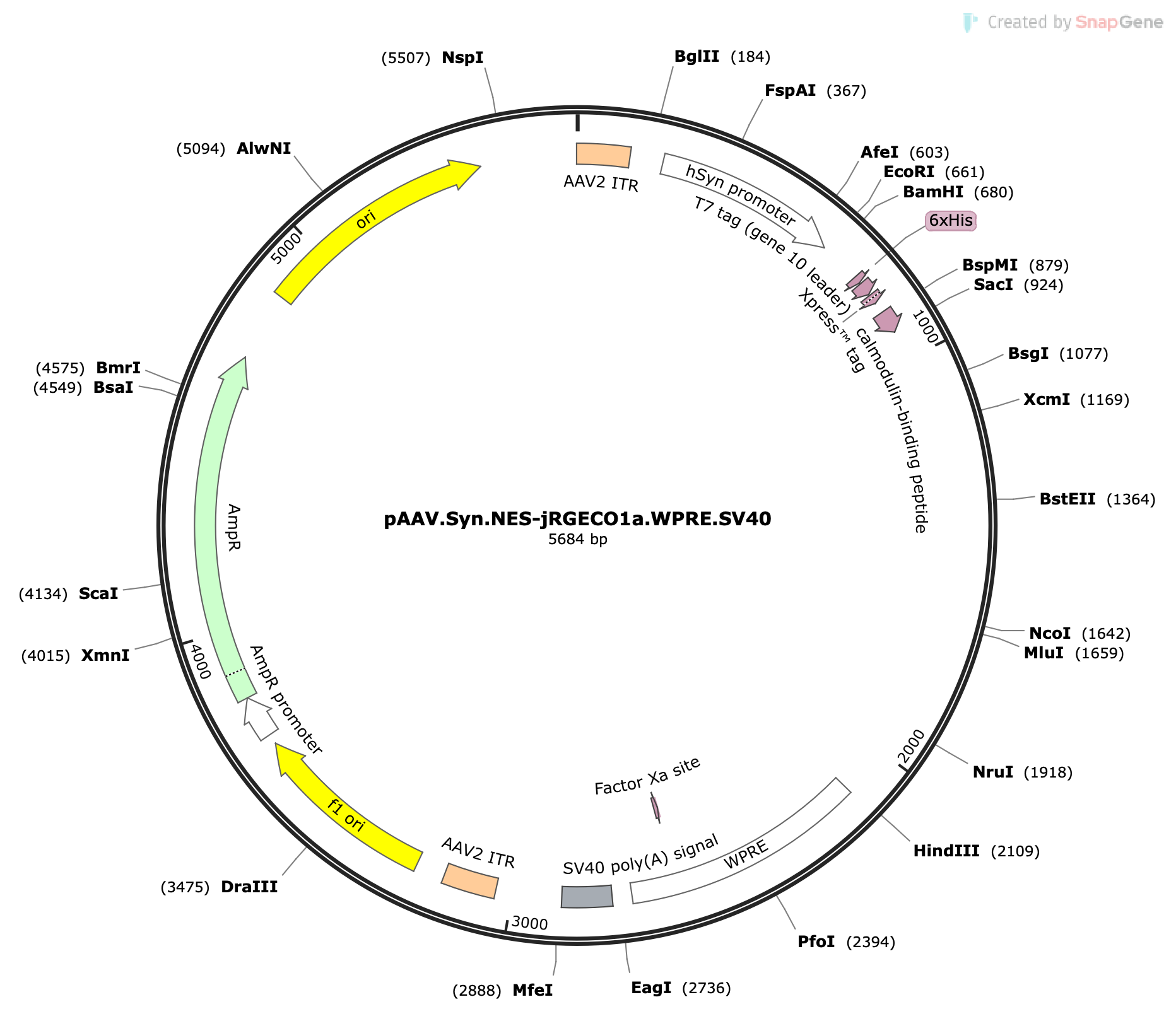AAV-Syn-NES-jRGECO1a