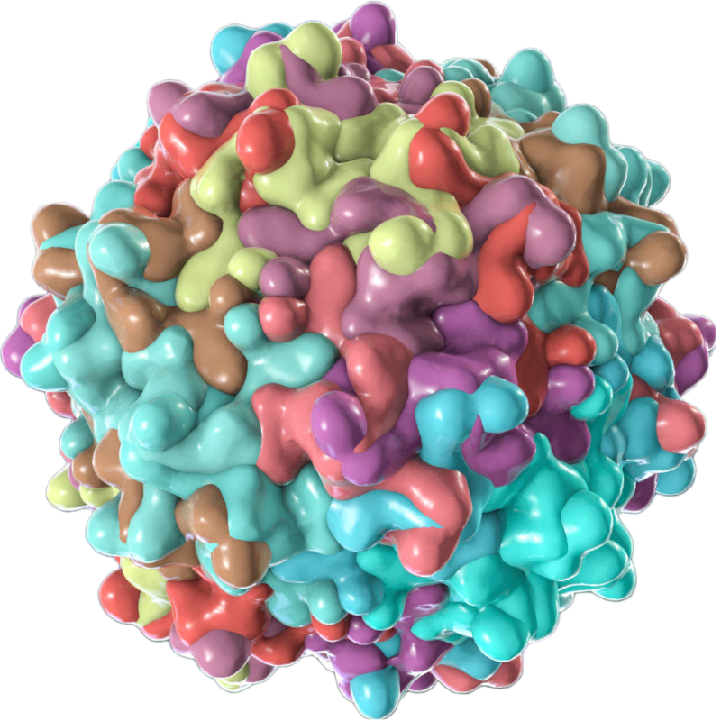 Custom Adeno-Associated Virus (AAV)
