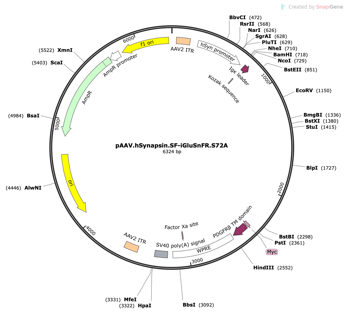 AAV-hSyn-SF-iGluSnFR(S72A)