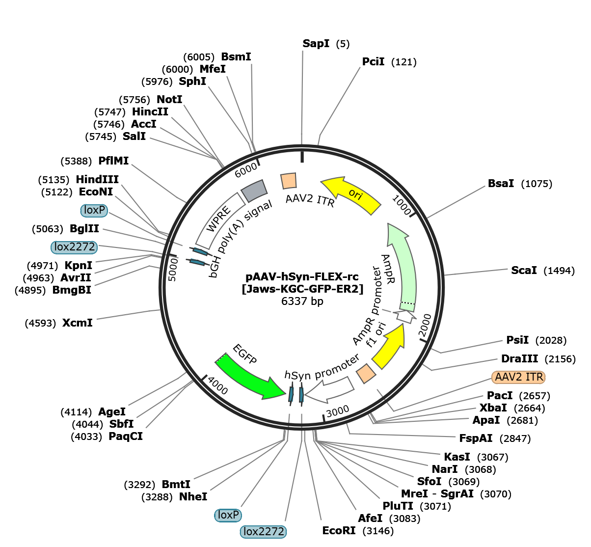 AAV-hSyn-FLEX-rc[Jaws-KGC-GFP-ER2]