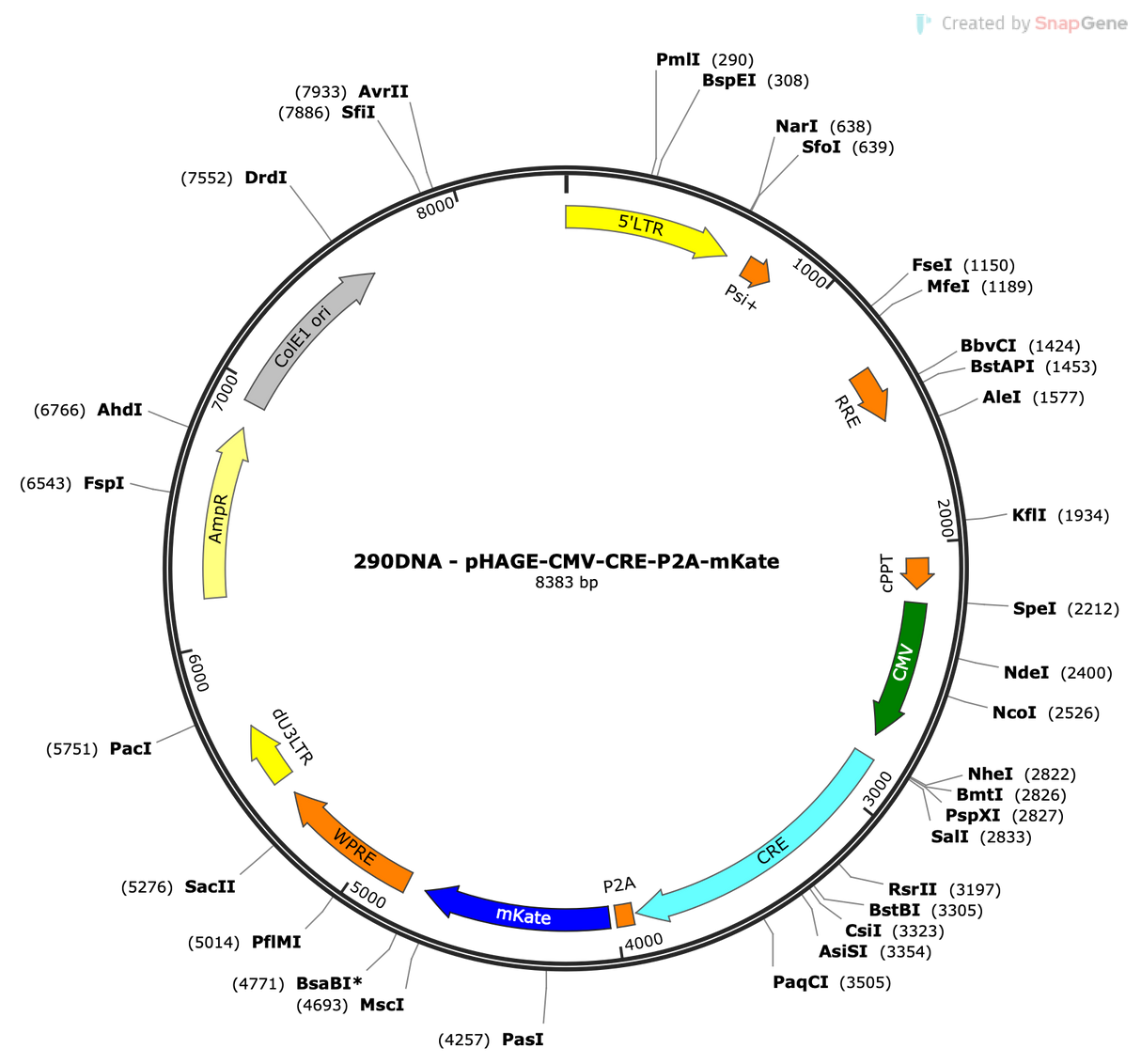 Lenti-CMV-CRE-P2A-mKate