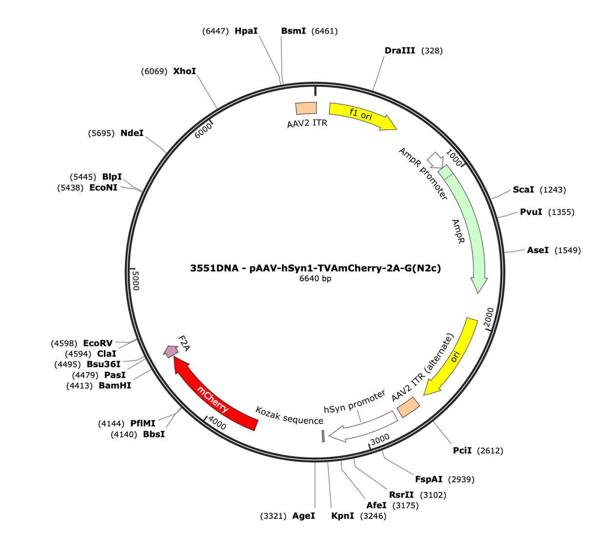 AAV-hSyn1-TVAmCherry-2A-G(N2c)