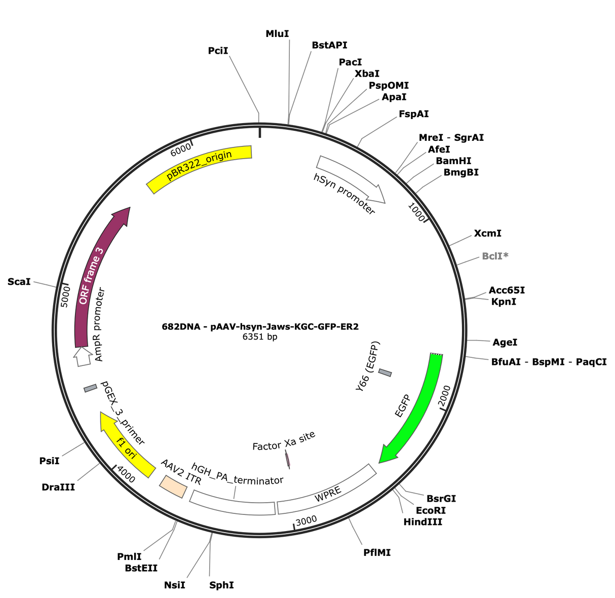AAV-hsyn-Jaws-KGC-GFP-ER2