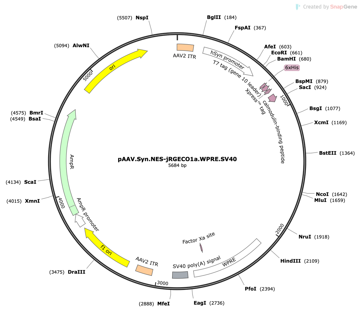 AAV-Syn-NES-jRGECO1a