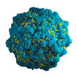 Addgene Plasmid